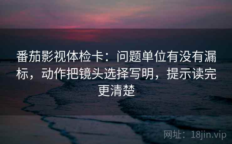 番茄影视体检卡：问题单位有没有漏标，动作把镜头选择写明，提示读完更清楚