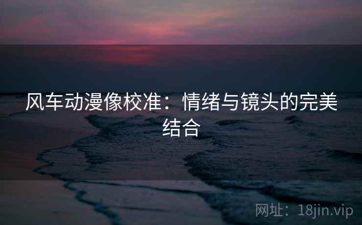 风车动漫像校准:情绪与镜头的完美结合 风车动漫像校准:情绪与镜头的完美结合
